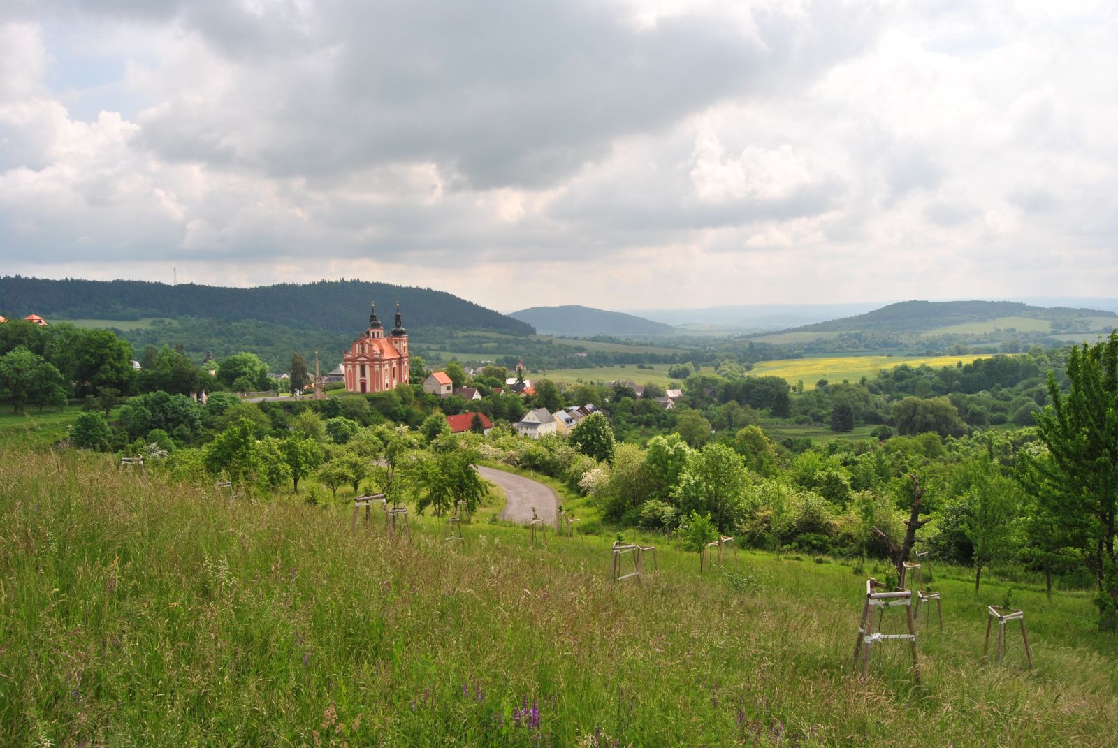 projekt obnova sadu u křížového sadu